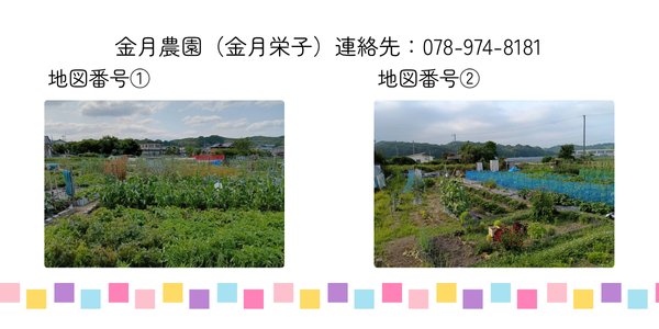 金月貸し農園