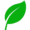 葉っぱのイラスト