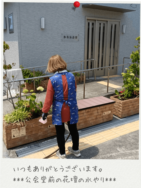 花壇の水やり